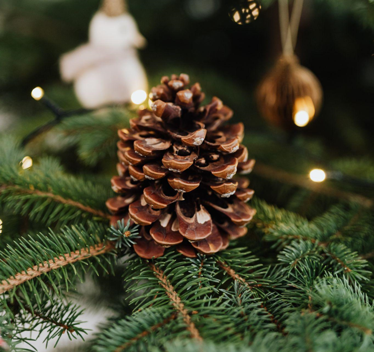 Christmas in July with Table Top Christmas Trees