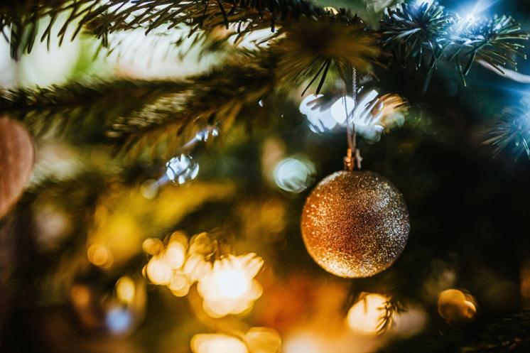 Christmas Tree with Lights for a Magical Season